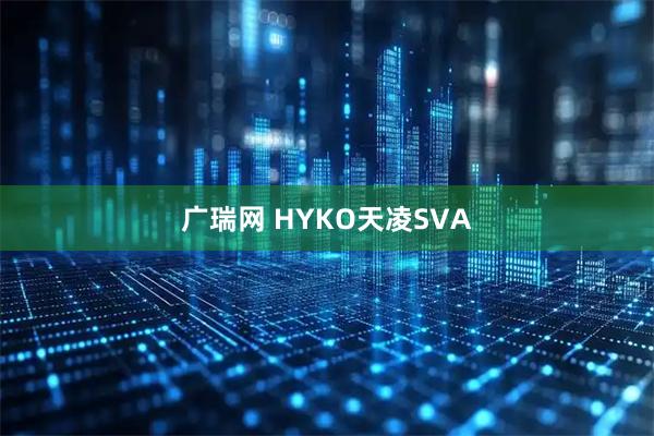 广瑞网 HYKO天凌SVA