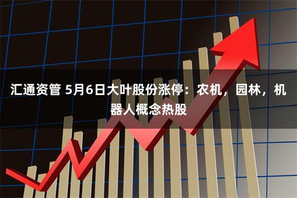 汇通资管 5月6日大叶股份涨停：农机，园林，机器人概念热股