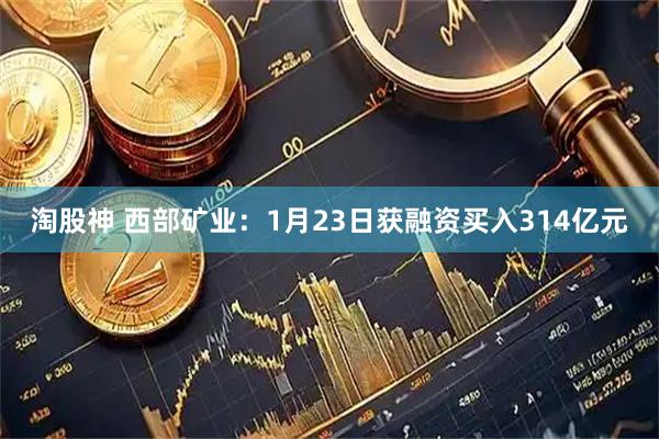 淘股神 西部矿业：1月23日获融资买入314亿元