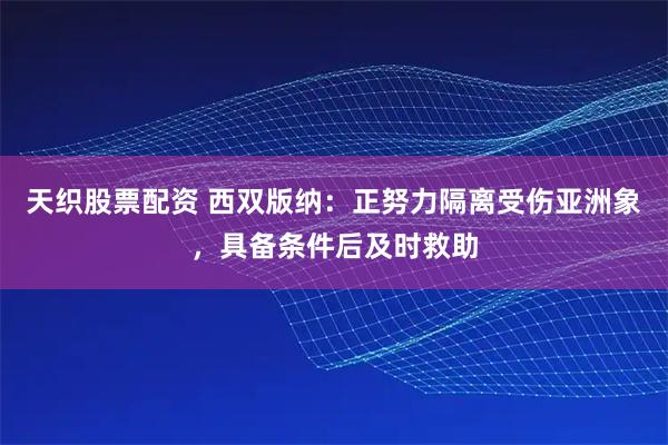 天织股票配资 西双版纳：正努力隔离受伤亚洲象，具备条件后及时救助