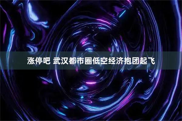涨停吧 武汉都市圈低空经济抱团起飞